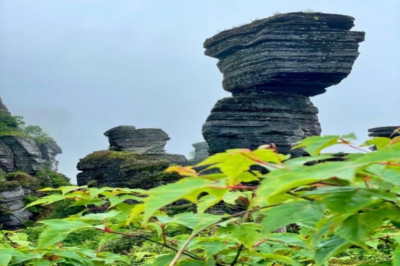 康輝旅游網(wǎng)<遇見>廣州出發(fā)貴州非銅梵享銅仁大峽谷+梵凈山+鎮(zhèn)遠(yuǎn)古城+茅臺鎮(zhèn)+烏江寨雙動5天