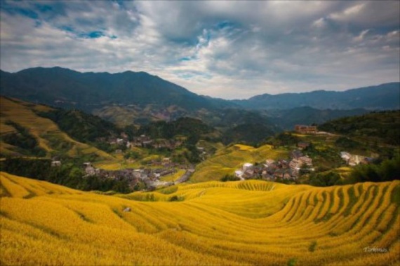 康輝旅游網(wǎng)廣州往返廣西 尊享龍脊 大漓江+龍脊雙梯田+象鼻山+遇龍河竹筏+銀子巖動(dòng)車(chē)4天