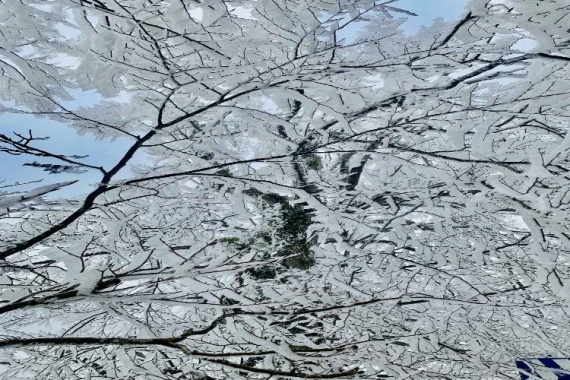 康輝旅游網(wǎng)廣州往返廣西 臻品霧凇>貓兒山+曼陀羅園+興安靈渠+興安水街純玩動(dòng)車(chē)3天