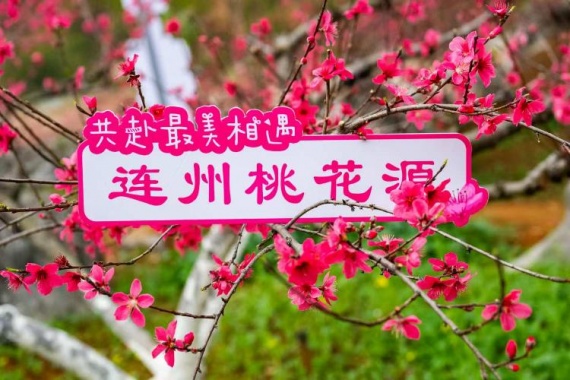 康輝旅游網(wǎng)【連州地下河】廣州往返清遠連州桃花節(jié).船游湟川三峽.地下河純玩2天