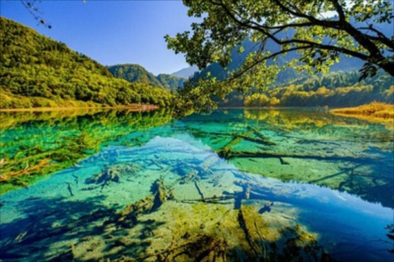 康輝旅游網(wǎng)<特惠>閬中往返 九寨甘南、閬中古城、九寨溝、官鵝溝、拉卜楞寺、扎尕那 純玩6天