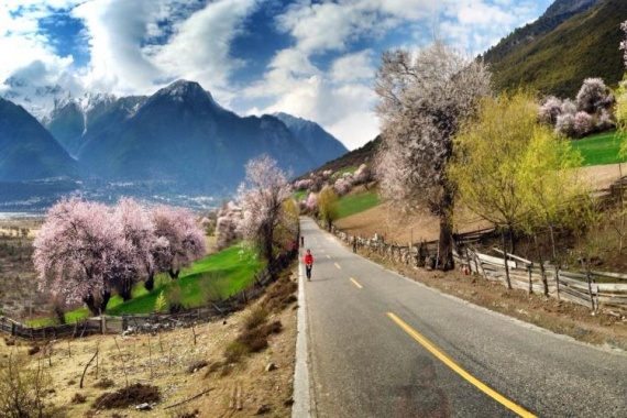 康輝旅游網(wǎng)<青藏桃花盛宴>廣州起止 布宮 扎基寺 桃花村 雅魯大峽谷 羊湖 三飛一臥8天