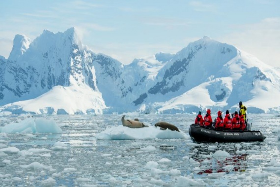 康輝旅游網南極17天