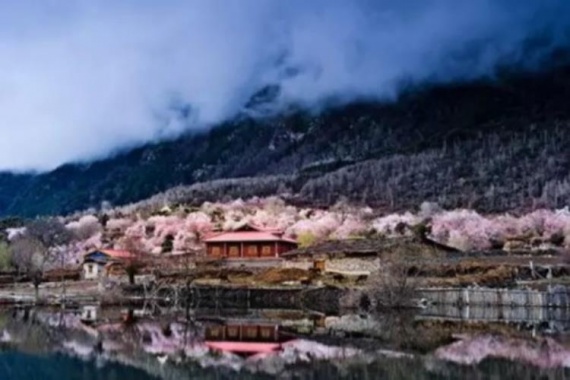 康輝旅游網(wǎng)<全景西藏>HQ，西藏江南林芝、雅魯藏布大峽、卡定溝7天全景游（林芝往返）