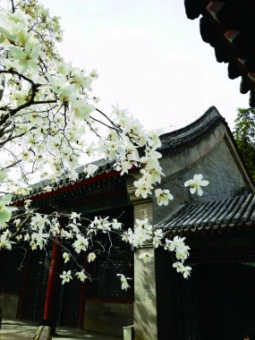 康辉旅游网<纯玩>深圳出发连州连南入住连州龙潭度假村、湟川三峡、连州地下河、千年瑶寨、峰林小镇、瑶族风情表演、长桌宴3天2晚汽车团