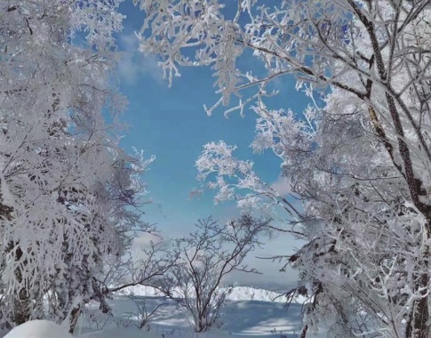 康辉旅游网<尊享.俄罗斯>双首都，莫斯科+圣彼得堡+梦幻小镇之旅，深圳直飞莫斯科，双飞往返9天跟团游，精选四星酒店