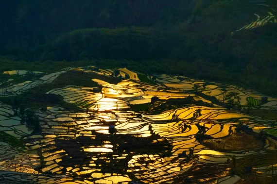 康辉旅游网青岛往返 （直飞丽水 小众游 大促）浙江丽水、云和、缙云双飞5日深度游