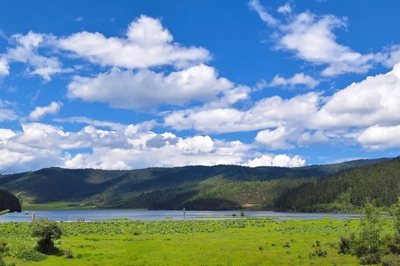 康辉旅游网【佛山出发】东莞香遇百花园、惠州入住皇冠假日酒店纯玩2天