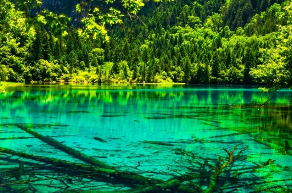 康辉旅游网<经典>动享全景四川WZ（9-10月）休闲成都、仙境九寨沟、 瑶池黄龙、峨眉 双飞+双动六日