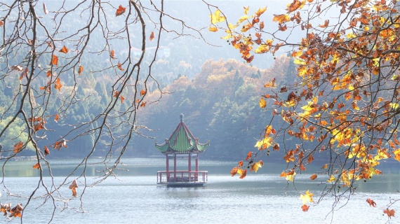 康辉旅游网<经典全景江西78>庐山、三清山、婺源篁岭古村、望仙谷、景德镇陶瓷DIY、陶溪川双飞五天