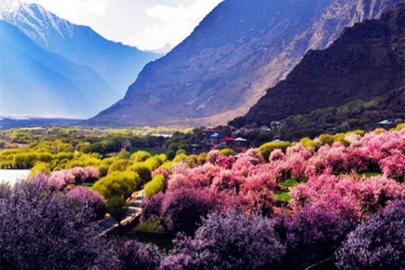 康辉旅游网<百人游西藏>广州往返 林芝4大赏花点 大峡谷 布宫 羊湖 扎基寺 双卧11天