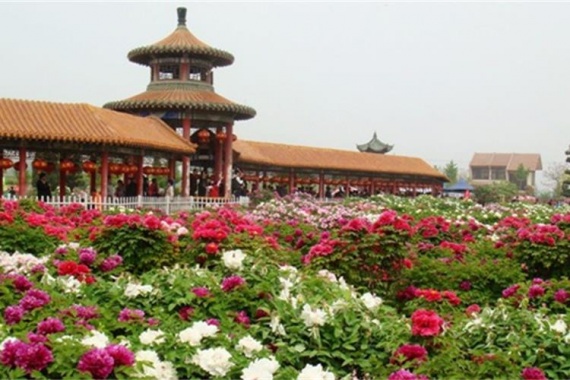 康辉旅游网<经典>广州往返·畅游 少林寺.石窟.老君山.万仙山 双卧8天