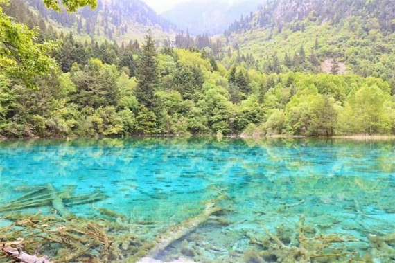 康辉旅游网<经典>广州往返成都，动享四川全景、九寨沟、黄龙、峨眉、乐山大佛双飞+双动6天