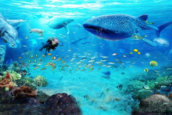 康辉旅游网【广州出发】畅玩珠海长隆海洋王国纯玩1天