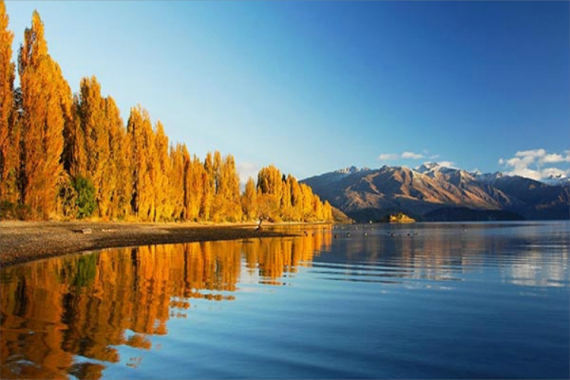 康辉旅游网广州直飞澳新联游澳洲名城大洋路赏花品樱新西兰南北岛12天9晚