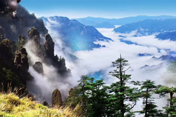 康辉旅游网<康辉专场><粤游·神农架>广州往返岳阳荆州宜昌神农架 高铁5天