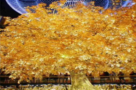 康辉旅游网<跟团游>澳门甄选观光一天（含两餐）