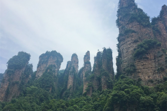 康辉旅游网<经典>春节GM广州出发湖南【万籁森林】张家界天门山+土司王府+凤凰古城双高4天