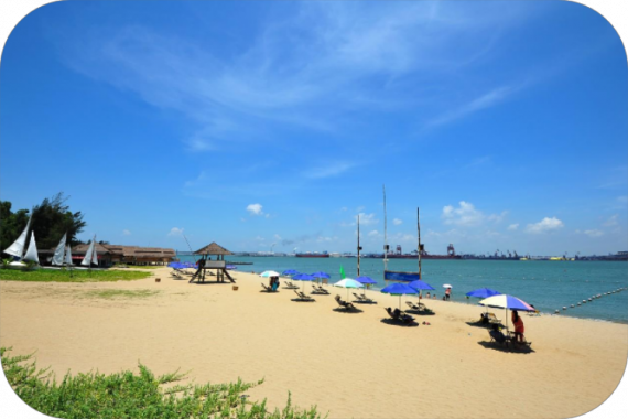 康辉旅游网【高铁直达】湛江高铁纯玩3天入住湛江白天鹅+戴斯温德姆酒店（广州站往返湛江北站）