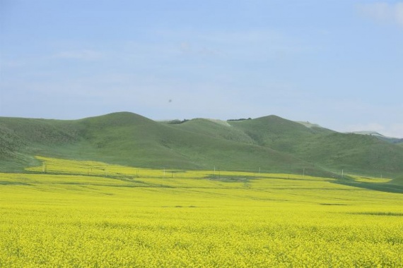 康辉旅游网<遇见>乌兰布统草原、阿斯哈图石林当地纯玩5日游