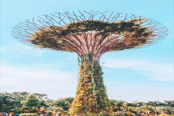 康辉旅游网暑期【自营SD】<奇遇星马>新加坡马来西亚超值5 天广州往返南航马入新出