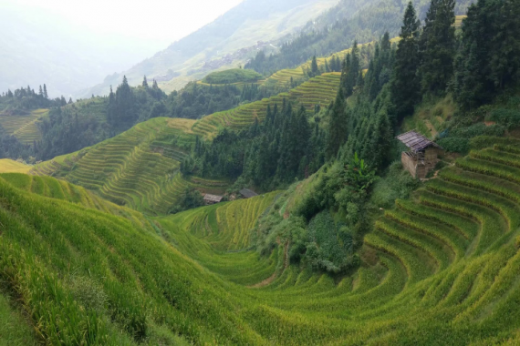 康辉旅游网广州往返广西三江程阳八寨、坐妹演出、龙脊梯田 、东漓古村动车三天，臻纯玩童趣广西